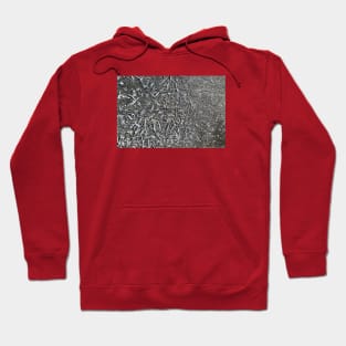 Sharp icicles Hoodie